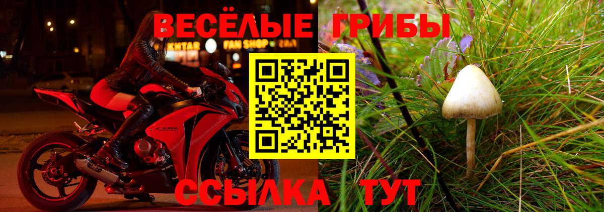 Галлюциногенные грибы MAGIC MUSHROOMS Норильск